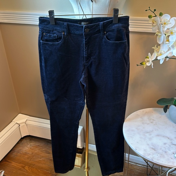 Ann Taylor Pants - Ann Taylor Navy velvety Skinny Pants